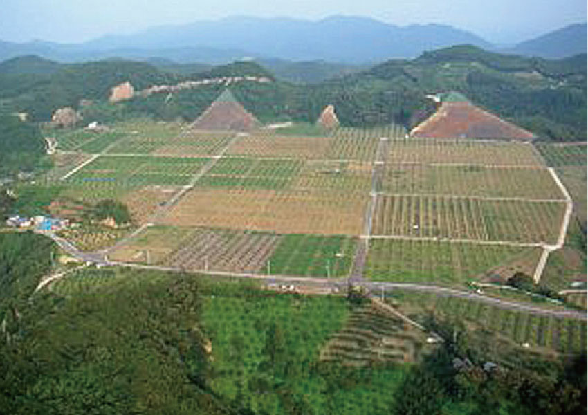 前田農園イメージ